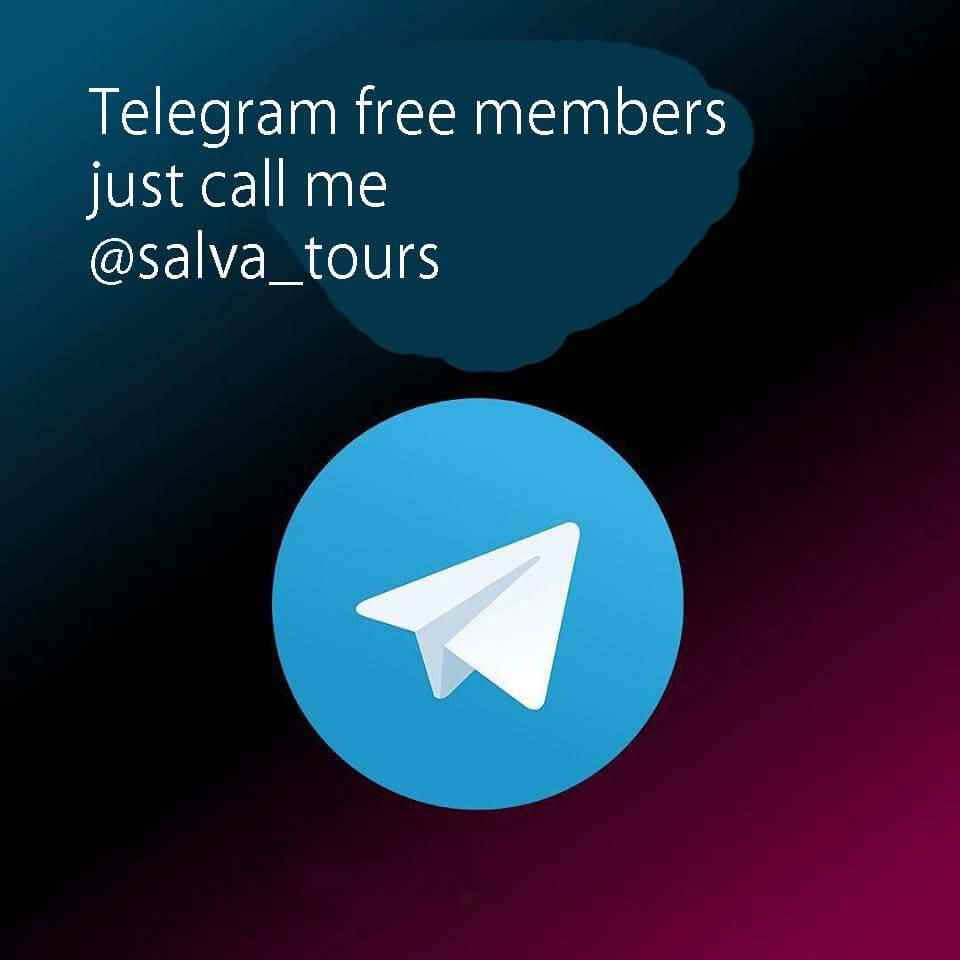 telegram guruhlari